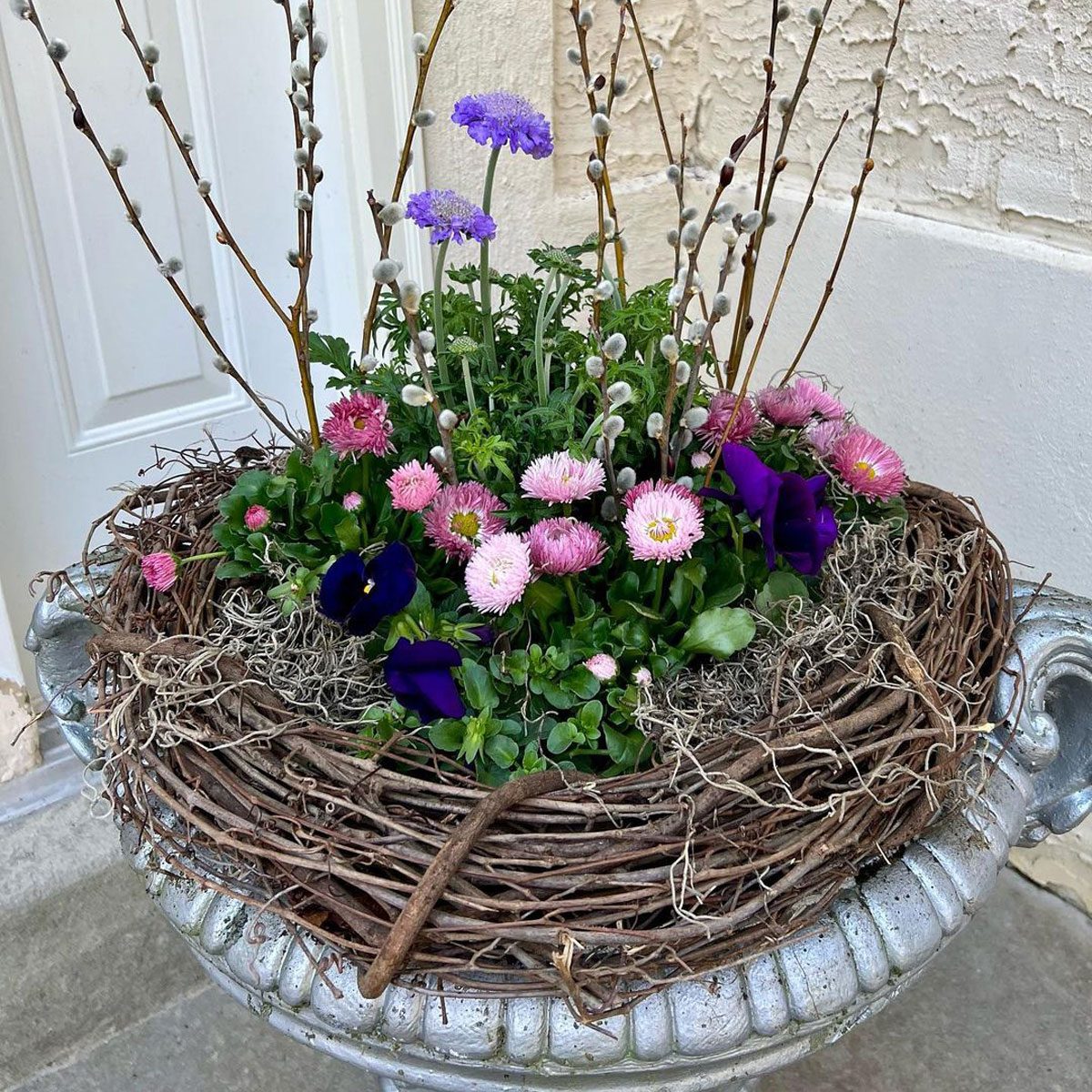 Bird Nest