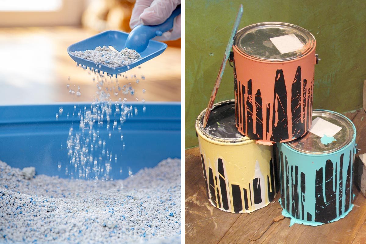 Can You Use Kitty Litter To Get Rid of Old Paint Cans?