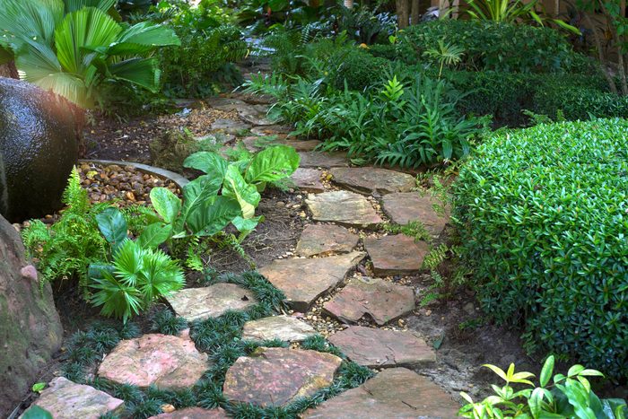 stone walkway in garden