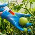 What Are GMOs? What To Know