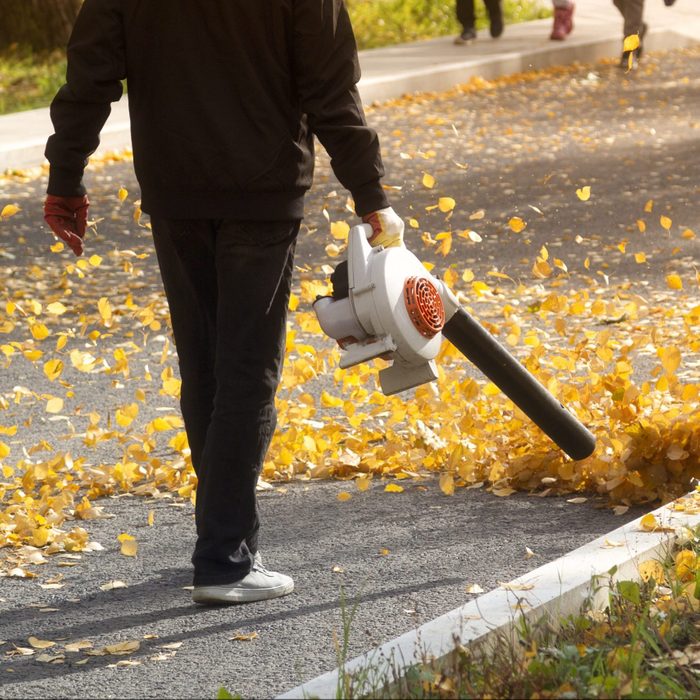 A man, a utility worker, removes leaves
