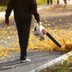 The 7 Best Leaf Blowers to Clear Your Yard of Leaves and Grass Clippings