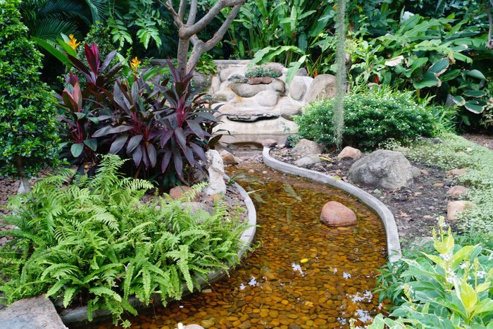 green park with water