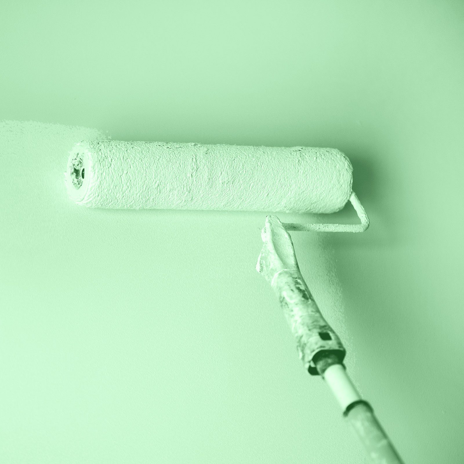 Hand Painting Wall With Paint Roller In Trendy Green Color