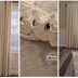 How to Perfectly Space Your Curtains Using Toilet Paper Rolls