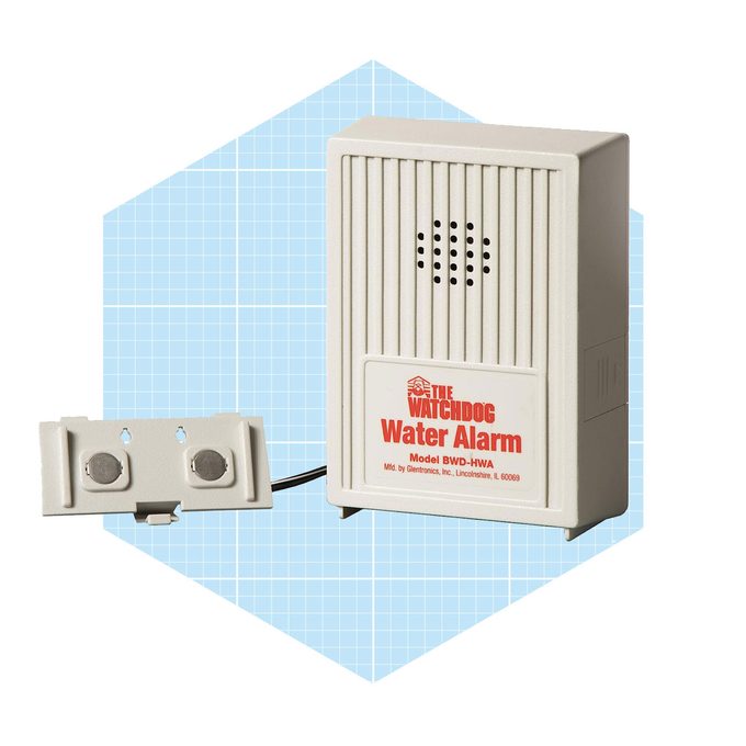 Basement Watchdog Sensor