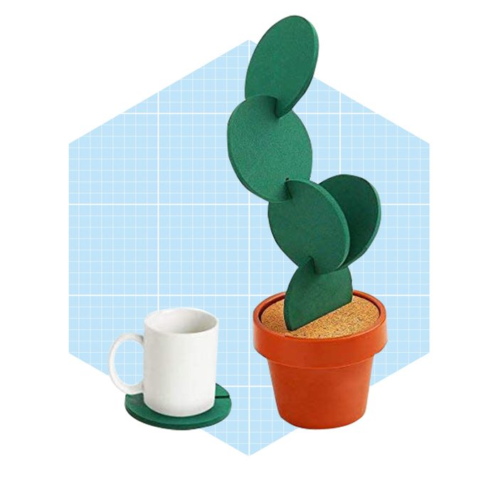 Cactus Coaster Set