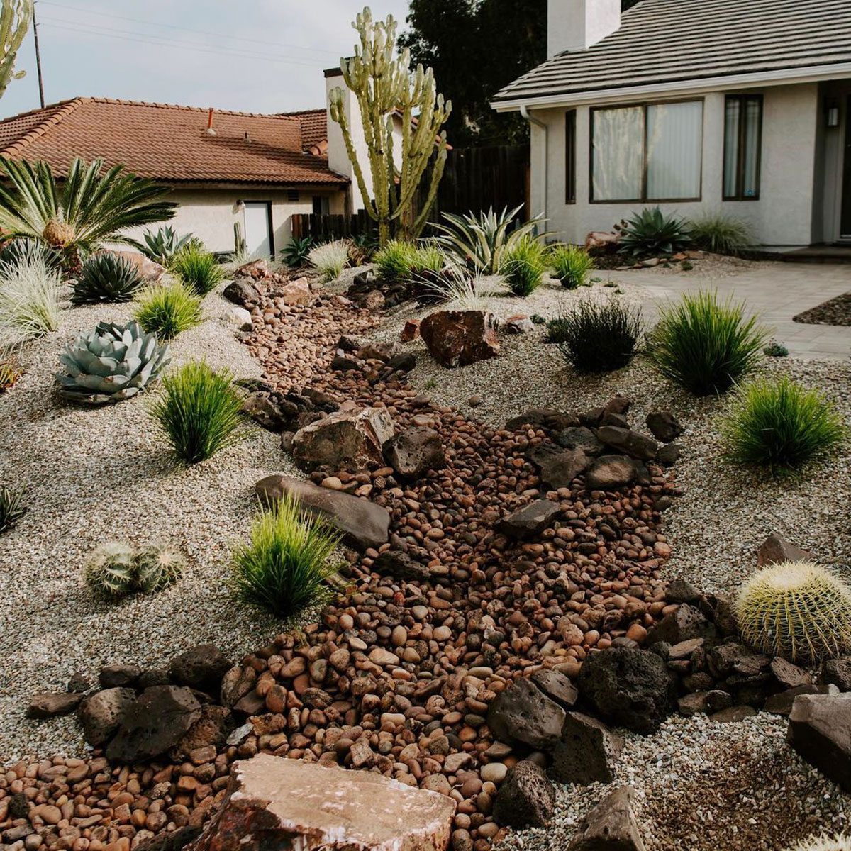 Desert Dry Creek Bed