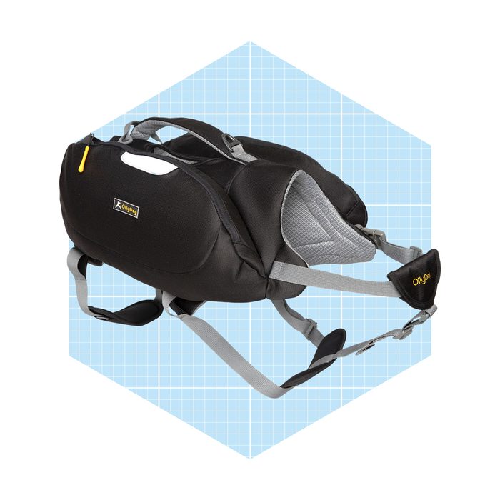 Dog Pack Ecomm Via Rei.com