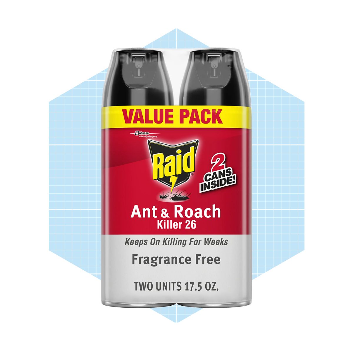 Raid Ant & Roach Killer 26