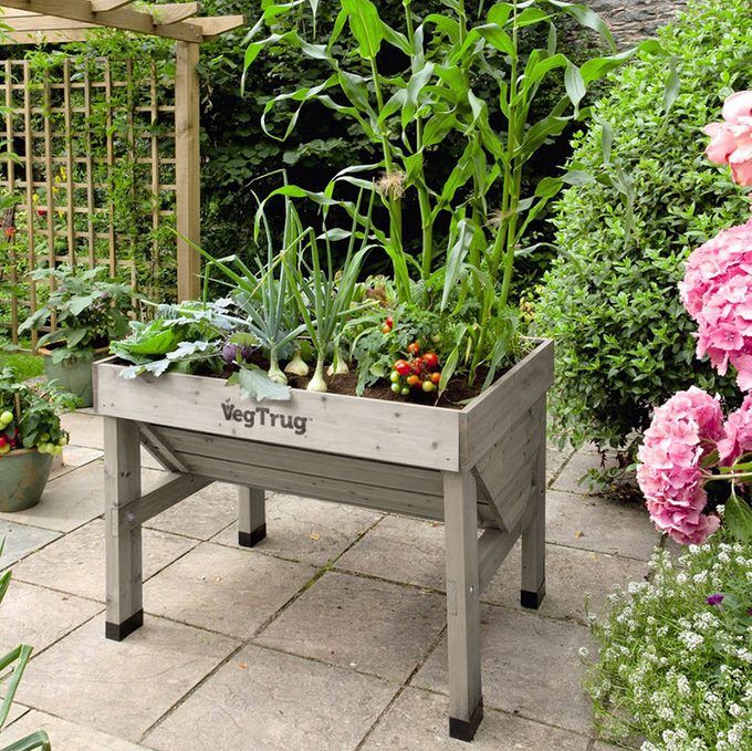 Wood Elevated Planter with vegetables growing in a courtyard