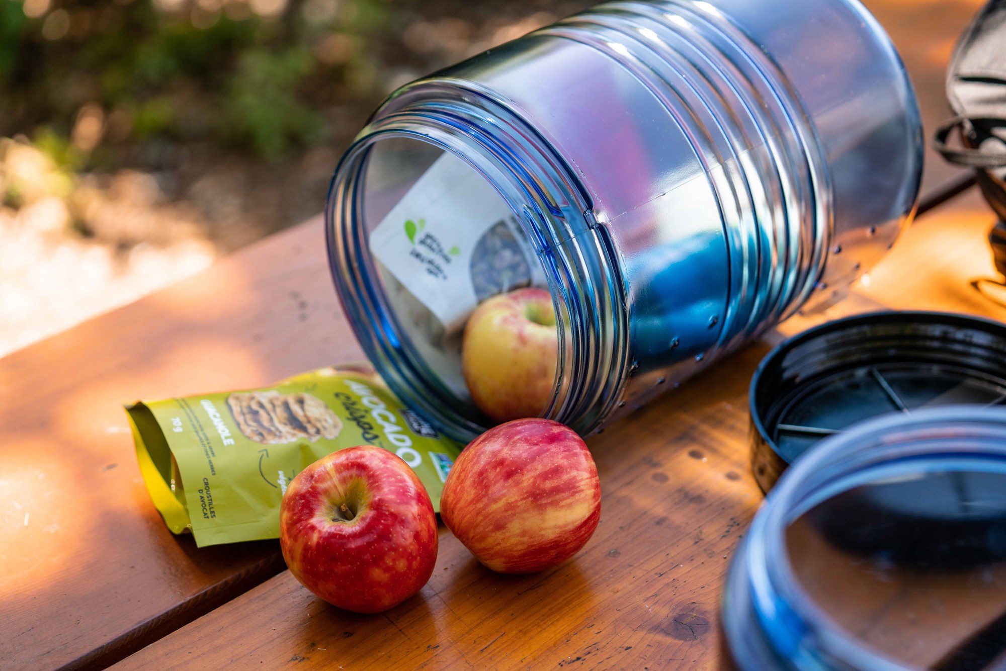 camping bear canister with food