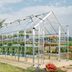 The Best Greenhouse Kits on Sale for Helping Your Plants Thrive