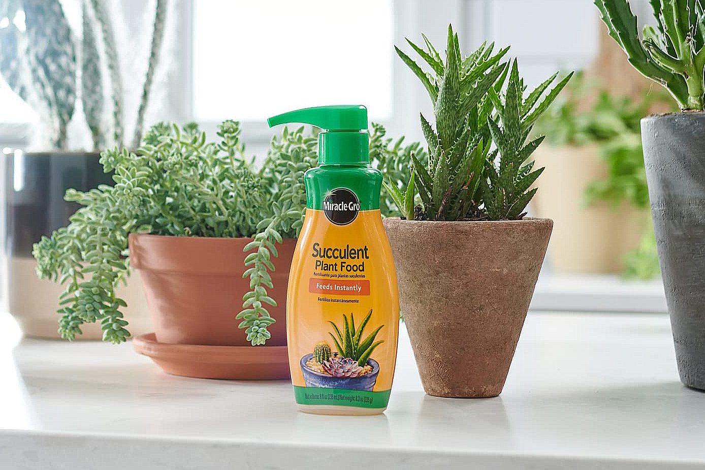 Miracle Grow Succulent Fertilizer