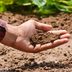 How To Test Soil pH With and Without a Kit