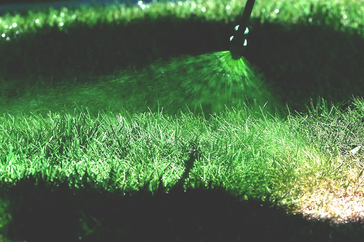 Grass Painting Company sprays green paint on dead grass from drought and extreme heat