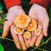 How to Start Foraging for Mushrooms