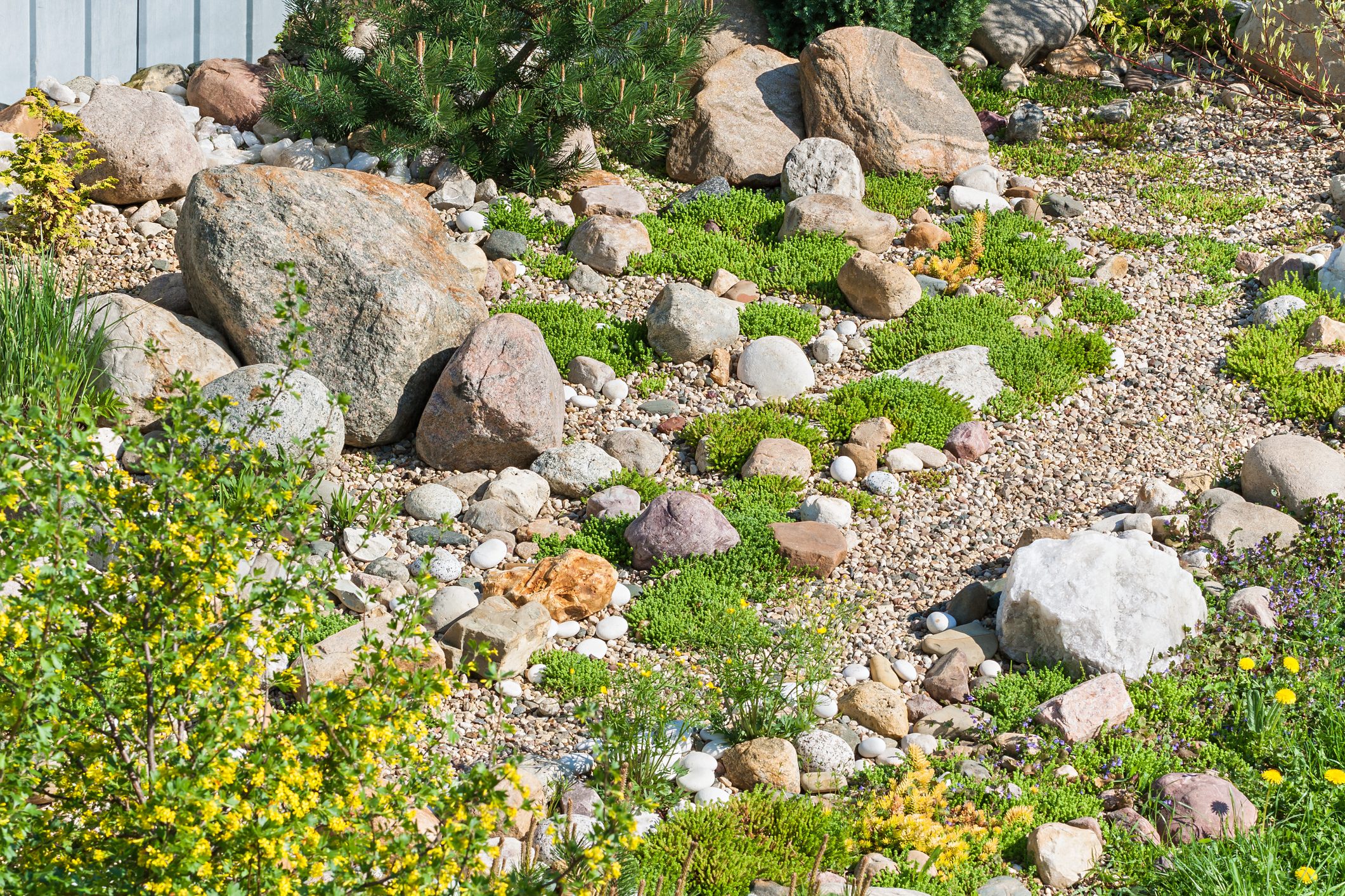 rock garden