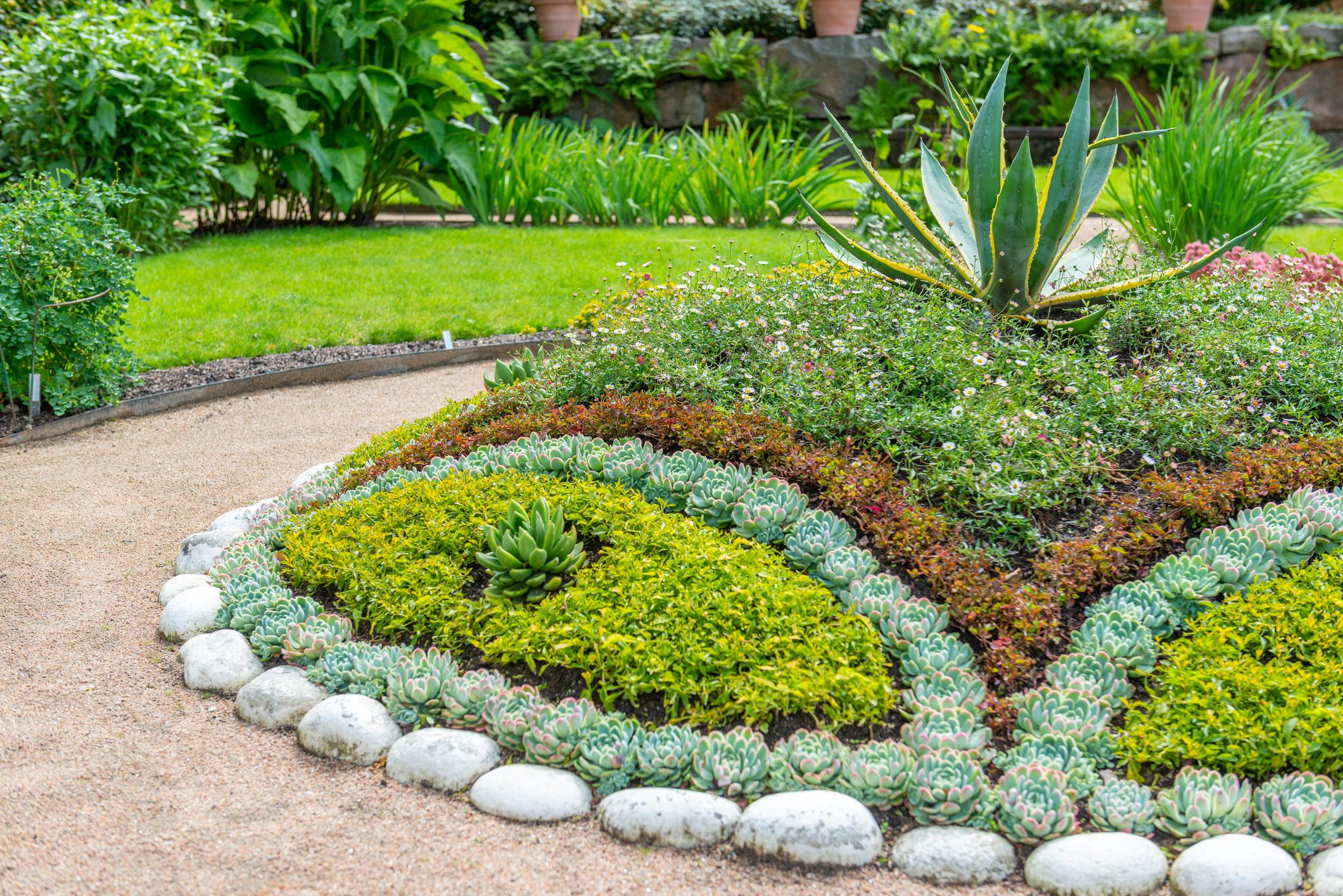 Botanical garden Succulent flowerbeds