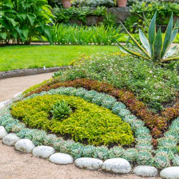 Botanical garden Succulent flowerbeds