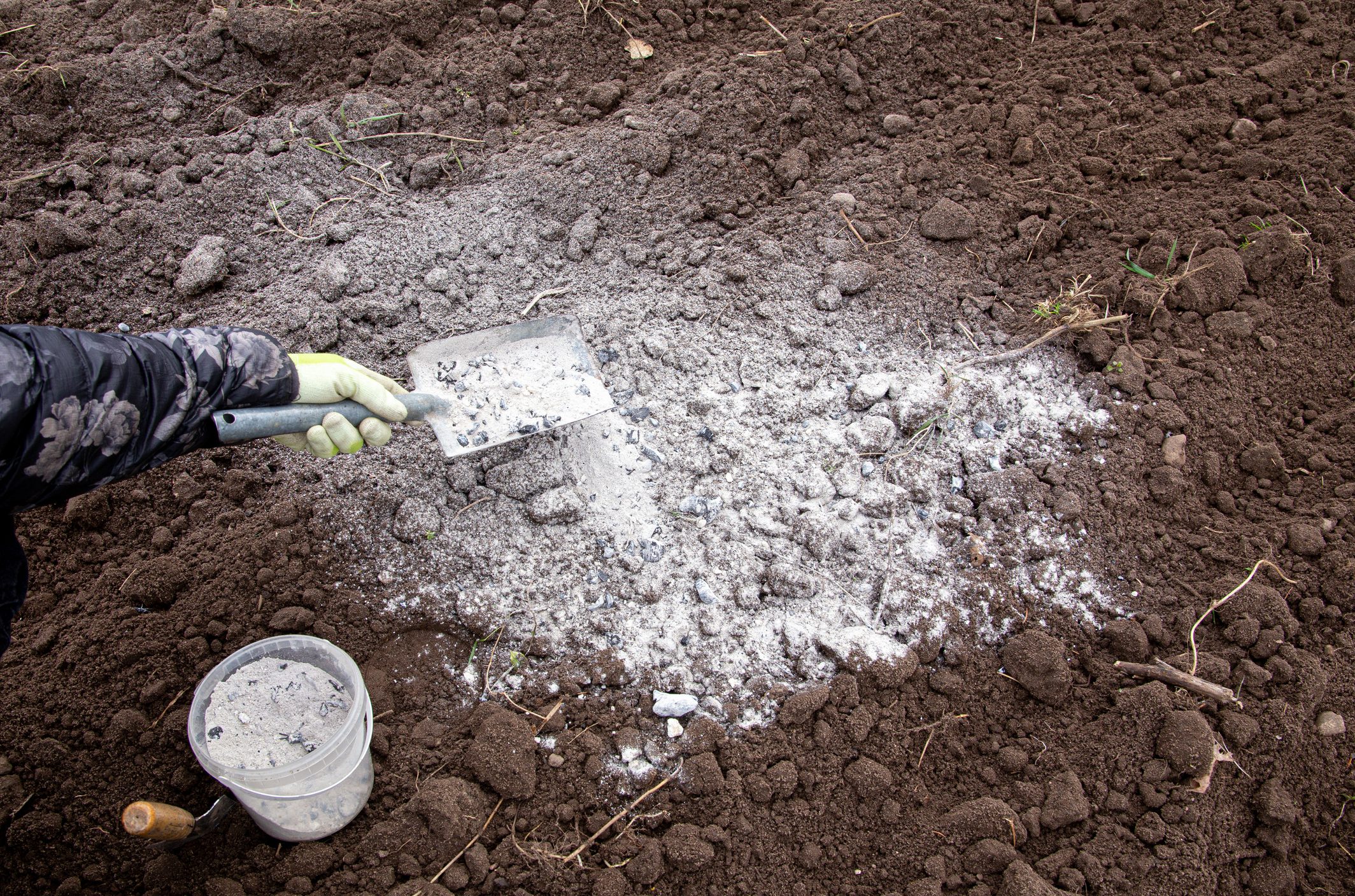 Why You Should Use Wood Ash in the Garden