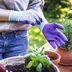 7 Best Gardening Gloves For 2024