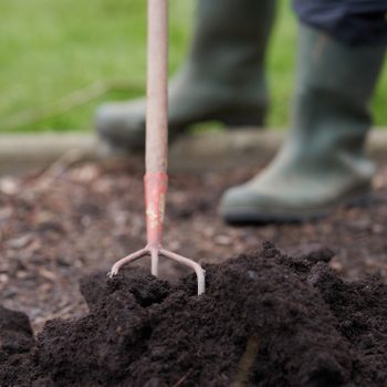 Compost and native soil