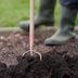 5 Best Mulches for Vegetable Gardens