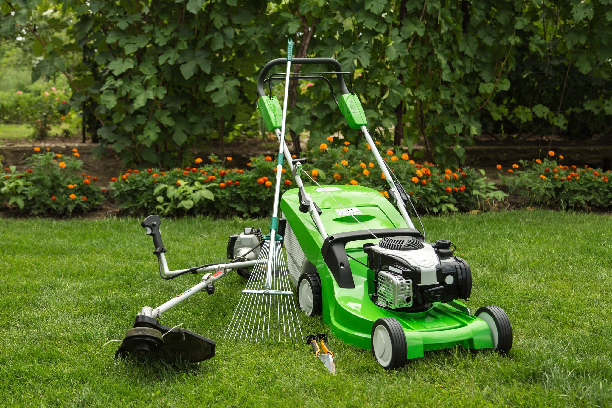 Outdoor shot of garden equipment