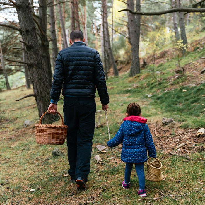 Father And Daughter Walking In The Woods With Stick And Basket Looking For Mushrooms