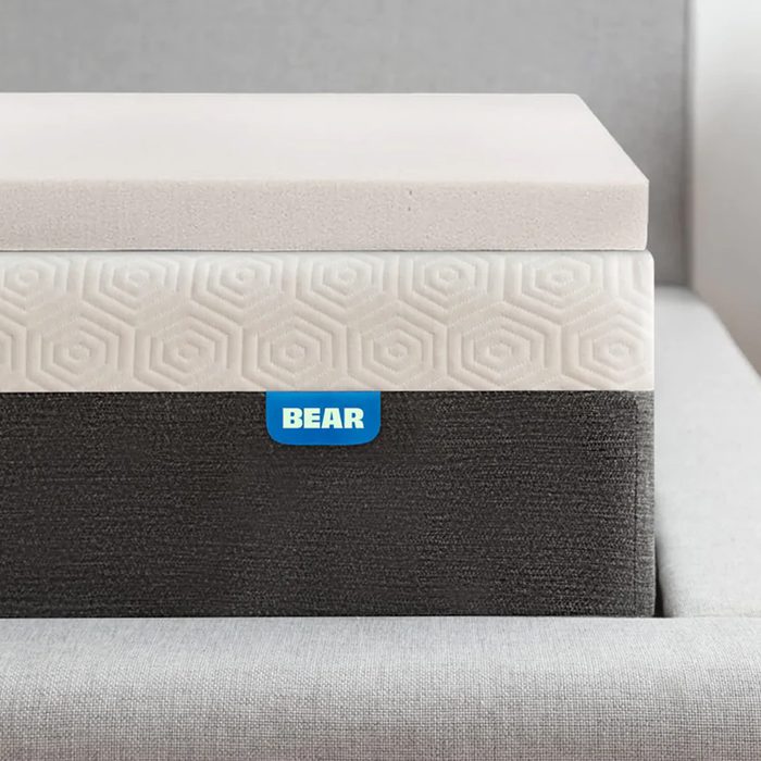 Pro Topper Ecomm Bearmattress.com