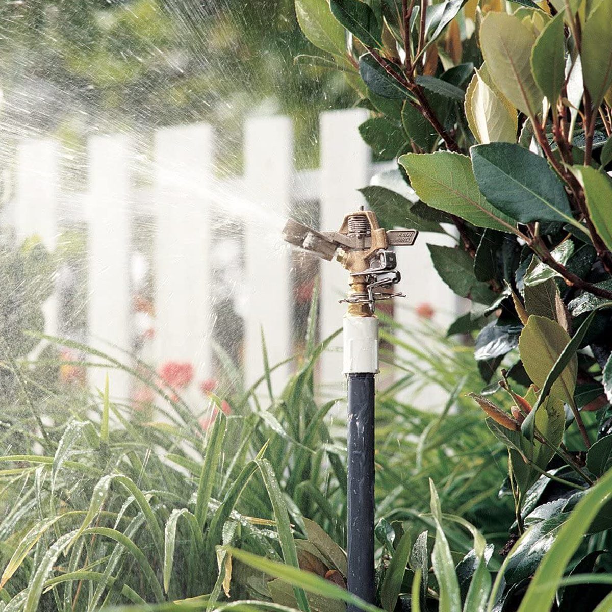 Rain Bird Brass Impact Sprinkler, Adjustable Pattern Ecomm Amazon.com