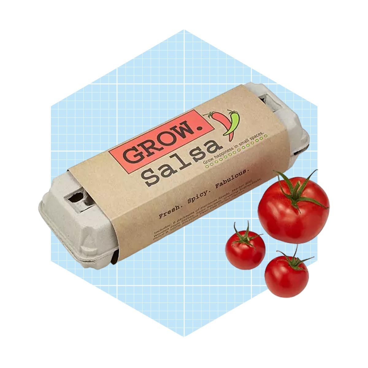 Salsa Grow Kit Seeds