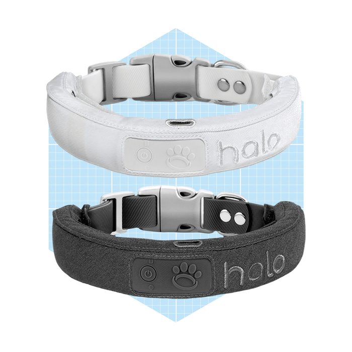 Halo Invisible Fence