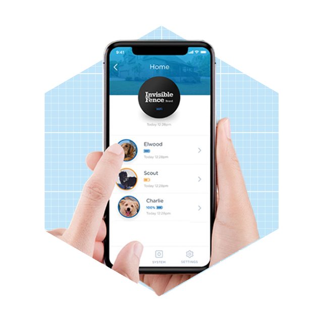 Invisible Fence Brand Invisible Fence