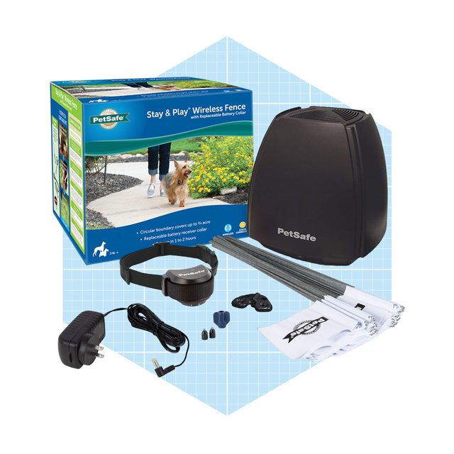 Petsafe Wireless Transmitter Invisible Fence