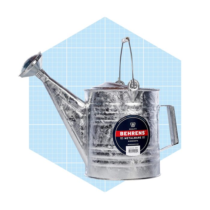 Behrens 2 Gallon Steel Watering Can Ecomm Amazon.com