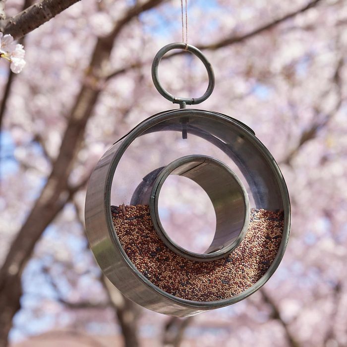 Circular Copper Bird Feeder