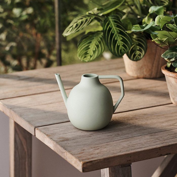 Colorful Ceramic Watering Can