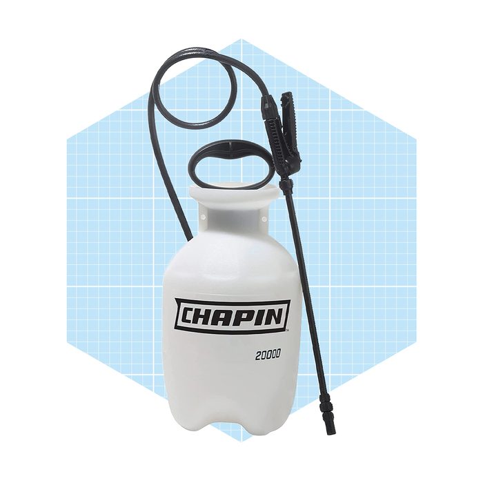 Chapin 20000 Garden Sprayer