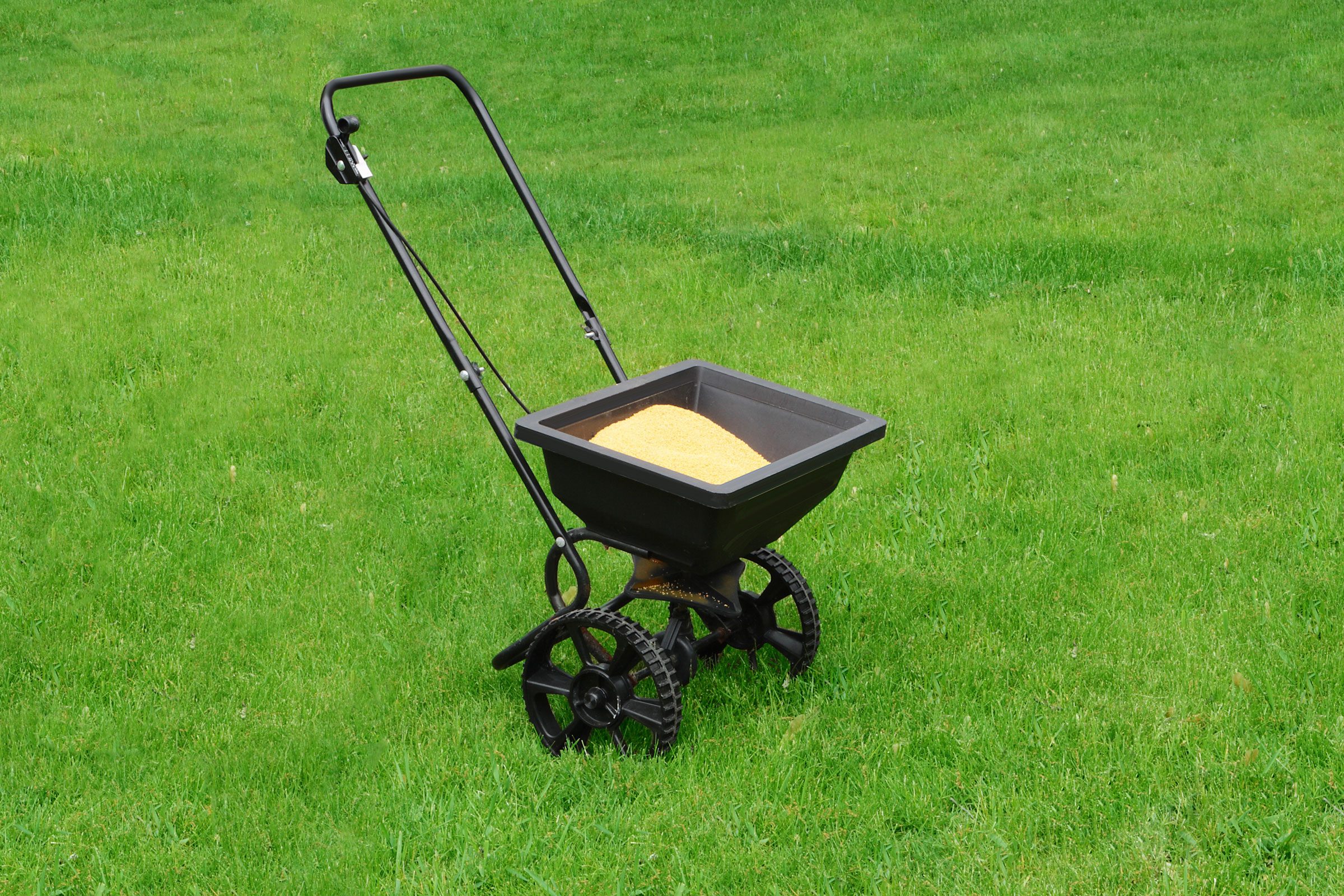 How Often Can I Apply Sulfur to My Lawn?