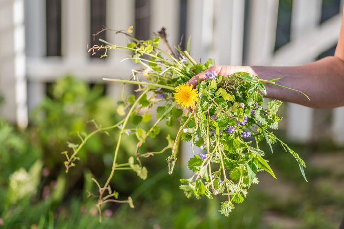 Woman holding a fist full of weeds