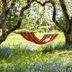 6 Best Backyard Hammocks for Peace and Relaxation