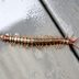 8 Most Common Types of Centipedes You'll Find in Your House