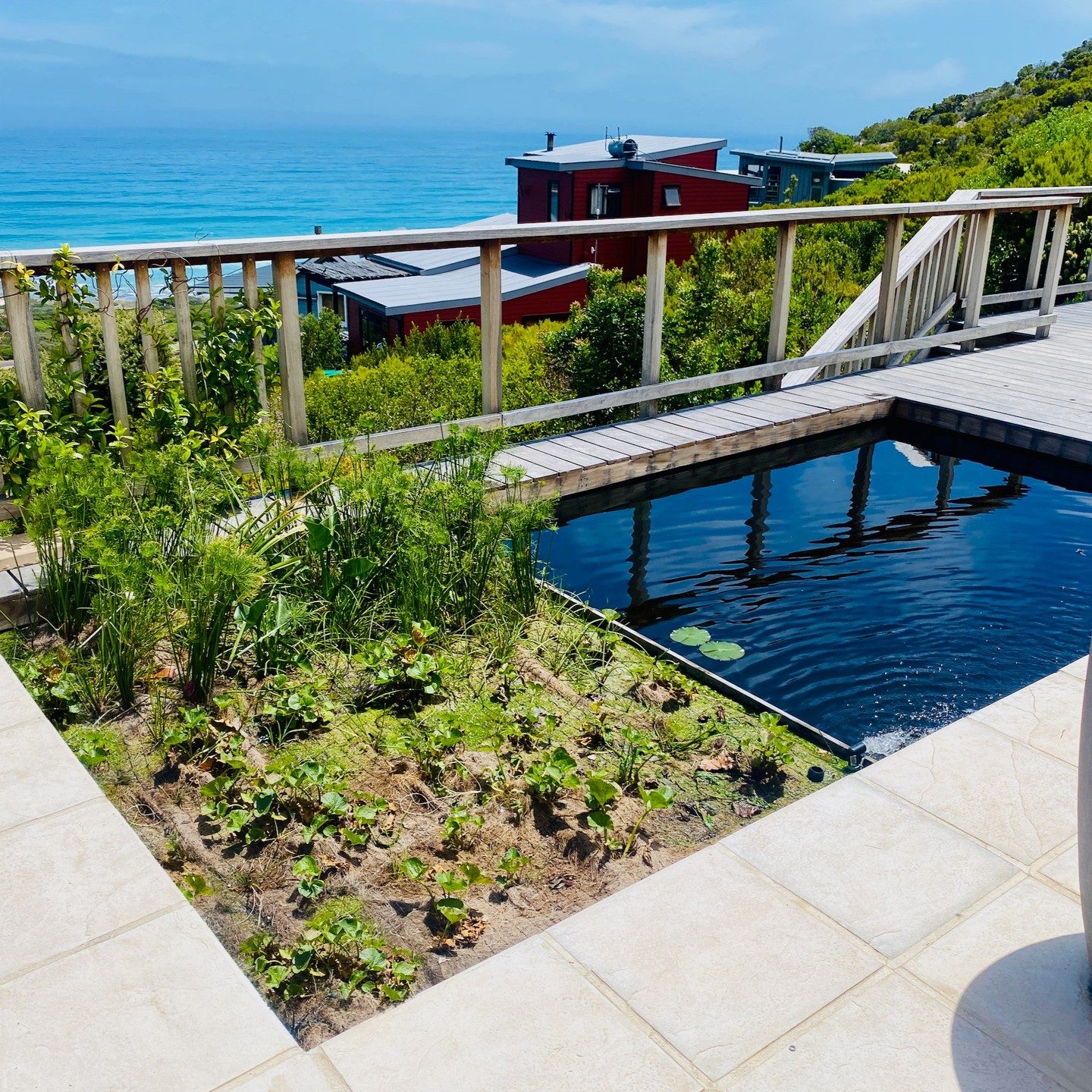 Natural Pool With Floating Wetland Via Leadandstone.naturalpools Instagram