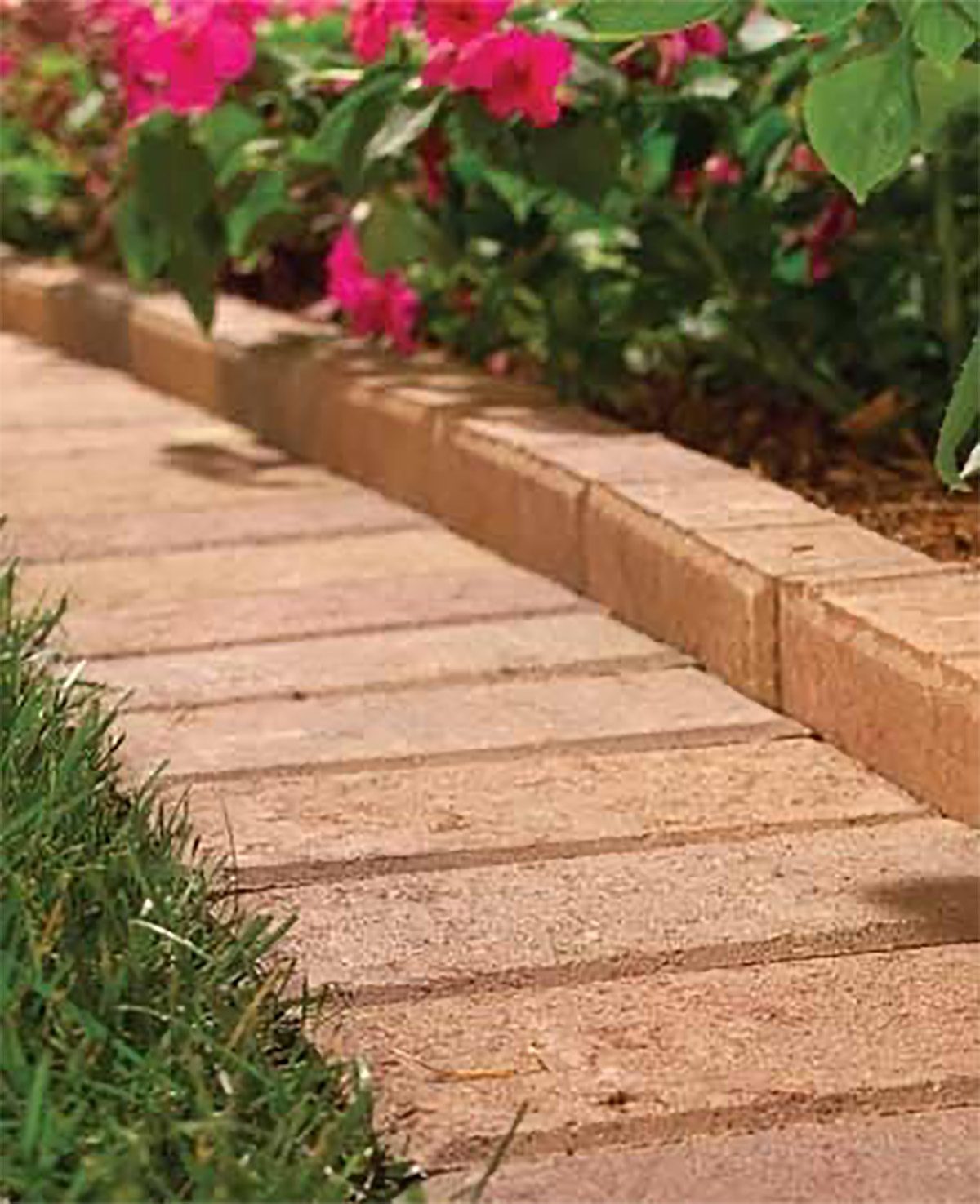 Paver Border