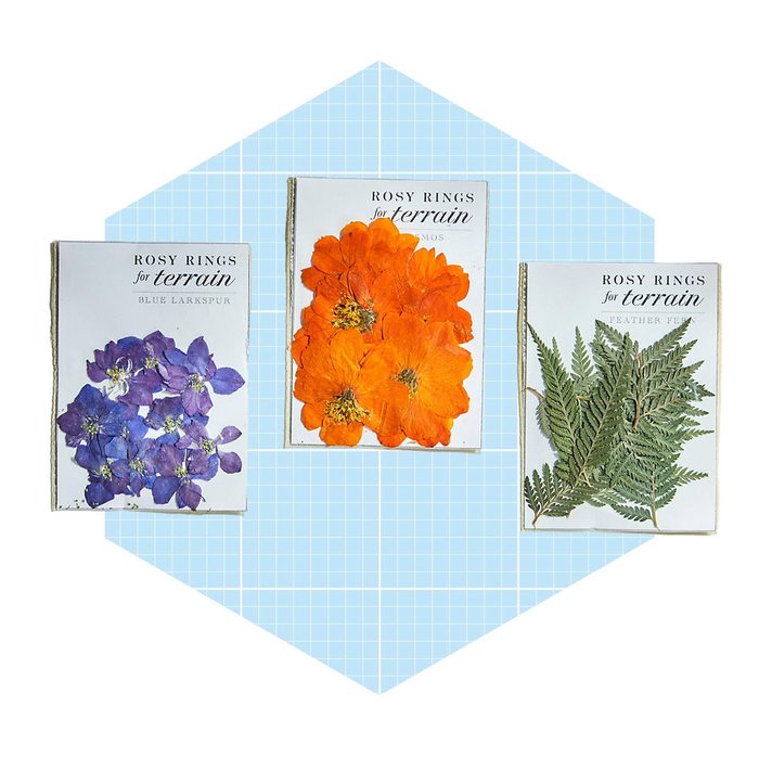 Rosy Rings Pressed Botanicals Packet