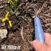 I Tried the CobraHead Weeder and It Makes Gardening So Much Easier