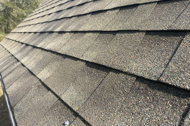 5 Wait For Moss To Fall Off Robert Maxwell