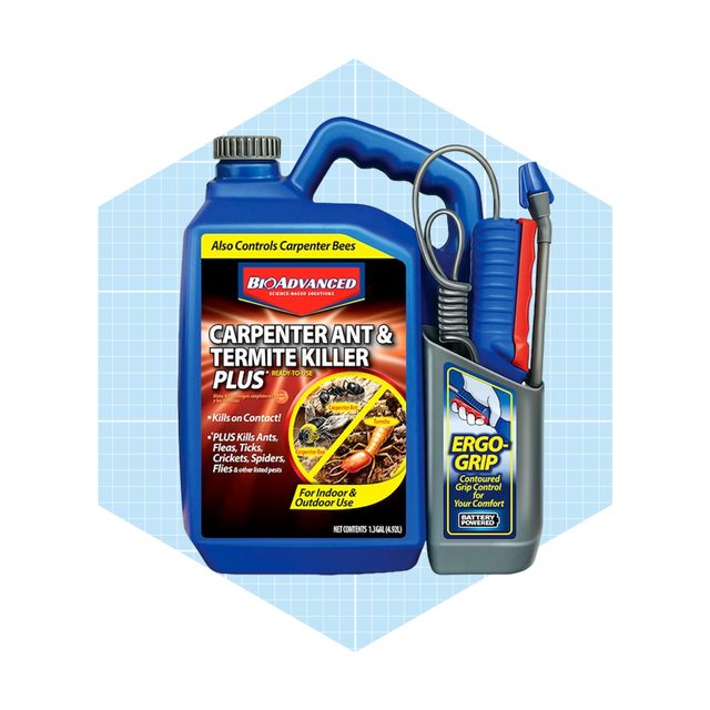 Bioadvanced Carpenter Ant & Termite Killer Plus